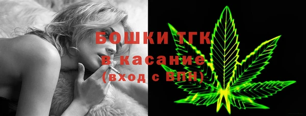 гидра Аркадак